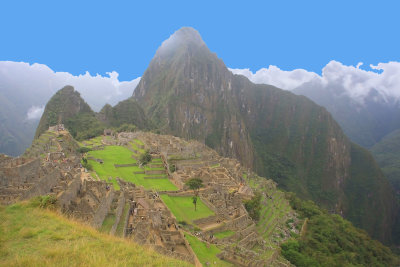 Birds of Peru