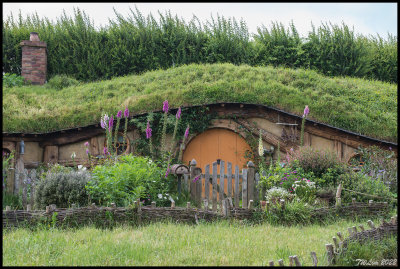 A Hobbit's hole