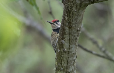 Quintana Bird Sanctuary