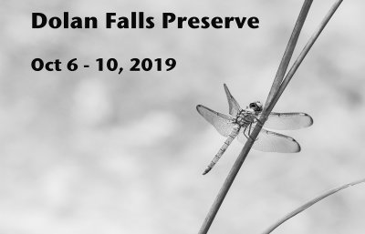 Dolan Falls Preseve 2019