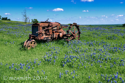Tractor in the Bluebonnets