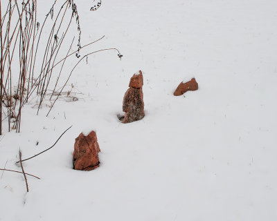 Furry Friends Graveyard