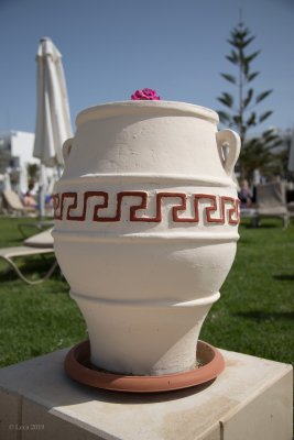 IMG_0336.JPG