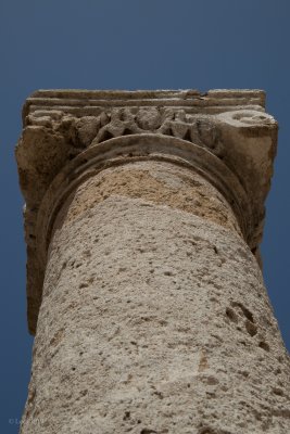 IMG_0486.JPG