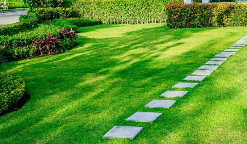 Browsing for Grubs in Grass | Blackdiamondgrows.com
