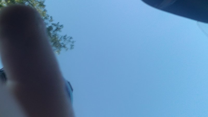 20190608_064056.jpg