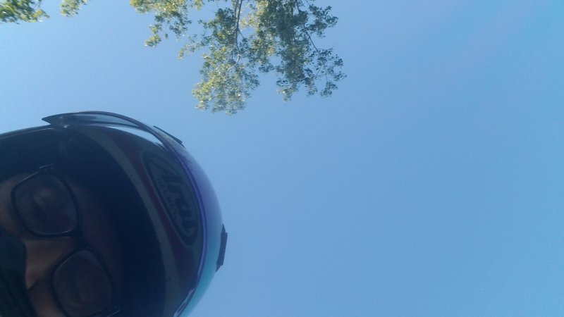 20190608_064057.jpg