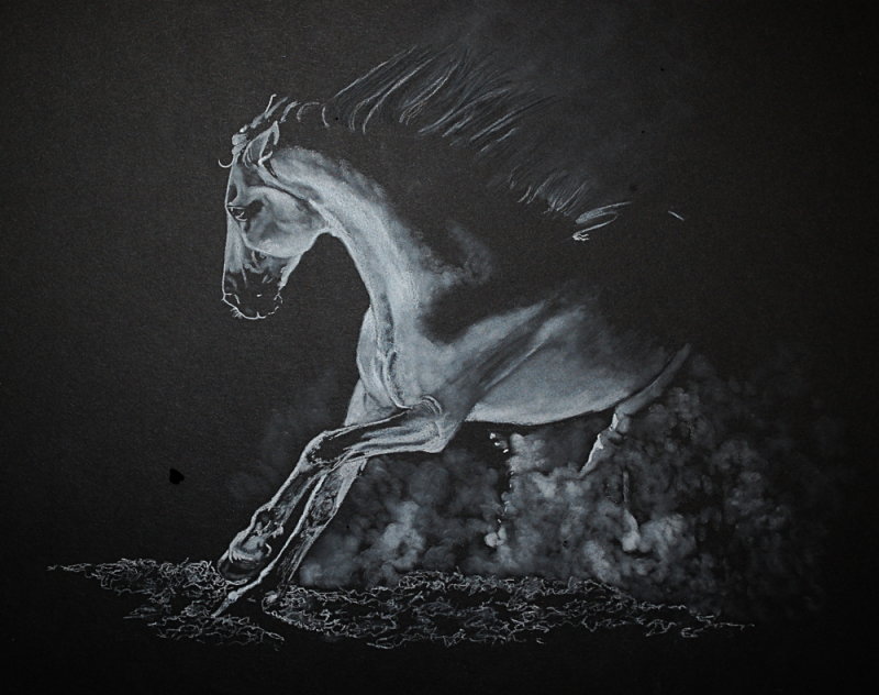 Fiery - white pastel on black paper, 16 x 20. Photo reference Karen Broemmelsick, 2019