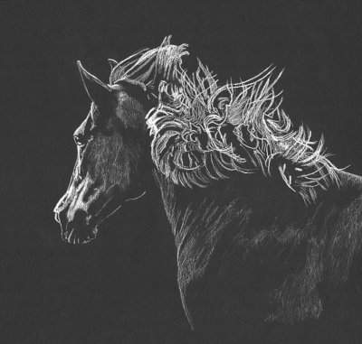 Horse study - pastel on paper, 8 x 16  Photo reference Karen Broemmelsick. 3-2019