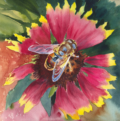 Bee - 12 x 12 5-20