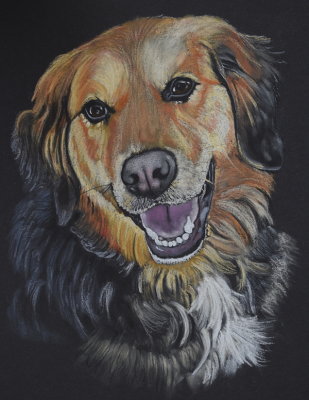 Sadie - pastel on black paper, 11 x 14 1-2021