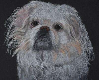 Myla - pastel on black paper, 12-2021