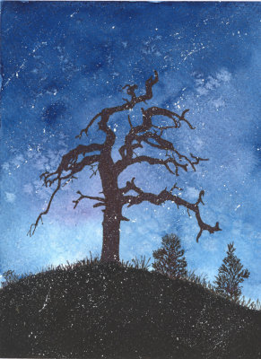 Winter tree - 5 x 7 1-22