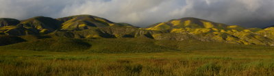 Carrizo Plain & Temblor Hills - April, 2017