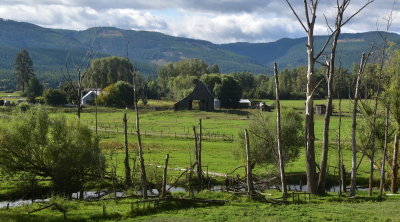 Vernon, British Columbia - in the Okanogan