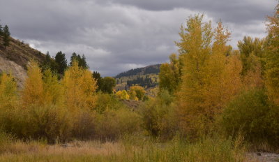 Near Hoback, Wyoming