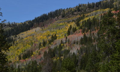 Along Utah Hwy 150 between Evanston, WY and Kamas, UT