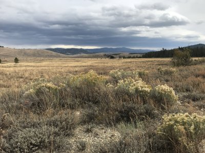 Along Idaho Hwy 21 between Lowman and Stanley