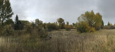 Near Swan Valley, Idaho