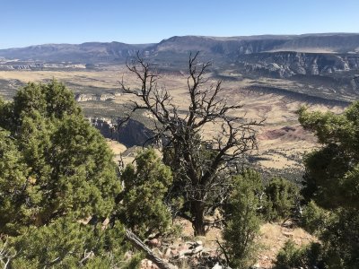 Dinosaur National Monument, Colorado