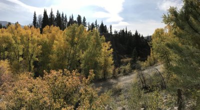 Colorado Hwy 149