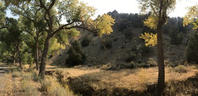 Near Virginia City, Nevada