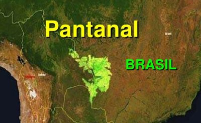 Pantanal - Brasile - Agosto 2018