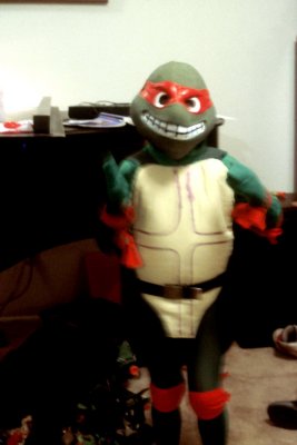 06 The Fifth Ninja Turtle.jpg