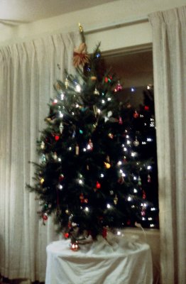 01 Living room tree.jpg