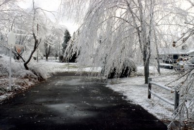 03 Driveway 01.jpg