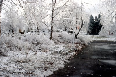 05 Driveway 02.jpg