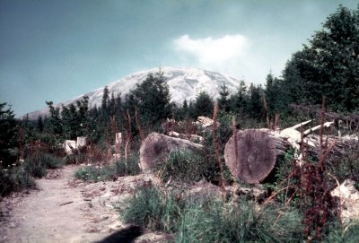 16 Mount Saint Helens 06.jpg
