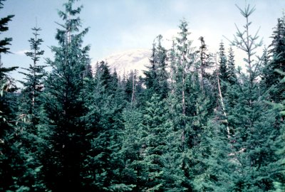 17 Mount Saint Helens 07.jpg
