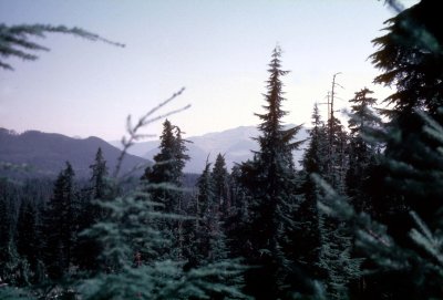 18 Mount Saint Helens 08.jpg