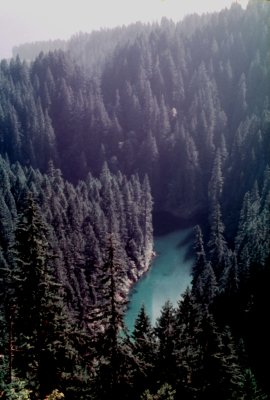 19 On the way to the mountain 06.jpg