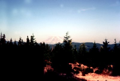 27 Mount Saint Helens 10.jpg