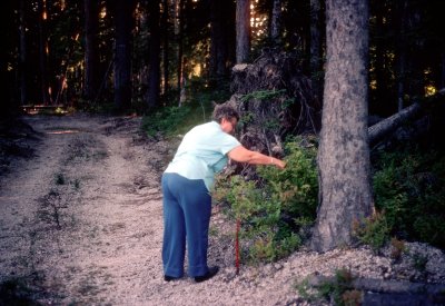 28 Margaret tending the forest 01.jpg