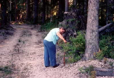 29 Margaret tending the forest 02.jpg