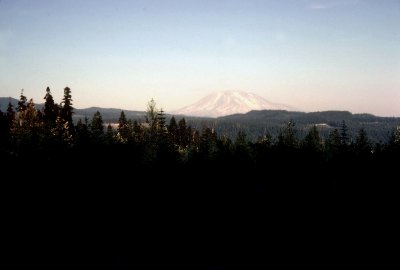 31 Mount Saint Helens 11.jpg