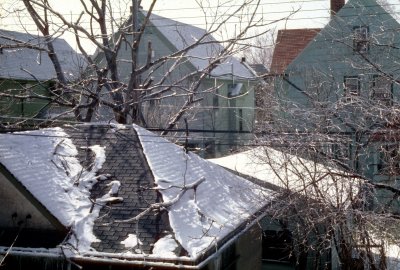 03 Off the back porch 01.jpg