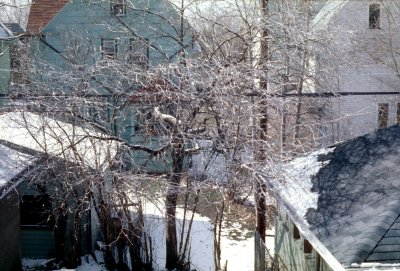 02 Winter