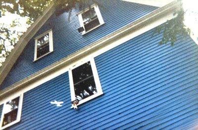15 Wooden airplane in Pete's back yard 02.jpg