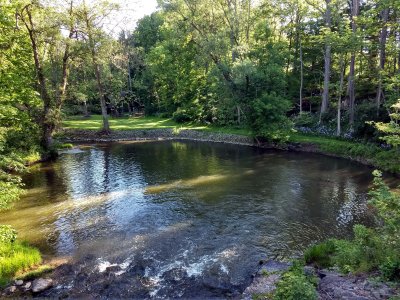 05 Irondequoit Creek along Auburn Trail 01.jpg