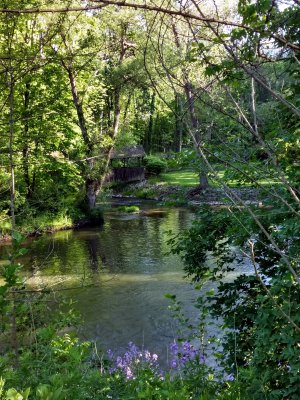 06 Irondequoit Creek along Auburn Trail 02.jpg