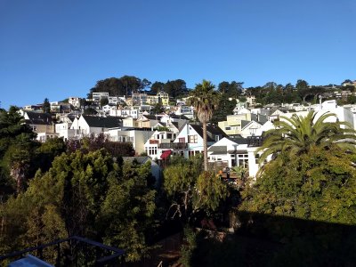 08 View from the back porch.jpg