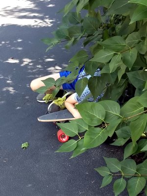 13 Sid with skateboard 10.jpg