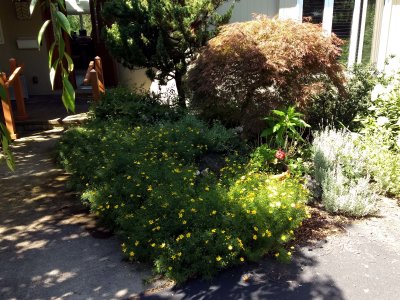 15 Front garden.jpg