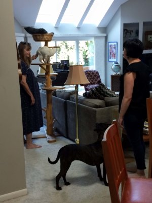20 Tory, Crystal, Baby, Kate 01.jpg