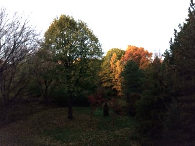 03 Fall color off the deck 02.jpg