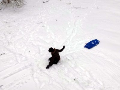 06 Sid sledding catastrophe.jpg